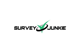 5 Best Survey Sites